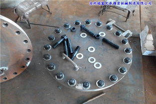 滄州瑞富兄弟公司 專業制造平焊法蘭水平吊蓋人孔及農林牧漁機械配件