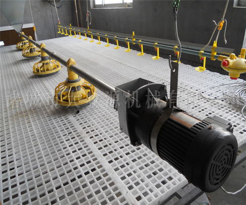 諸城大牧源機(jī)械 養(yǎng)雞自動(dòng)化養(yǎng)殖設(shè)備型號(hào)及農(nóng)林牧漁機(jī)械配件制造解析